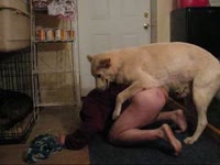 Wonderful amateur zoo sex scene featuring a fresh-faced teenage hottie sucking dog cock live